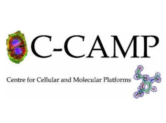 C-Camp